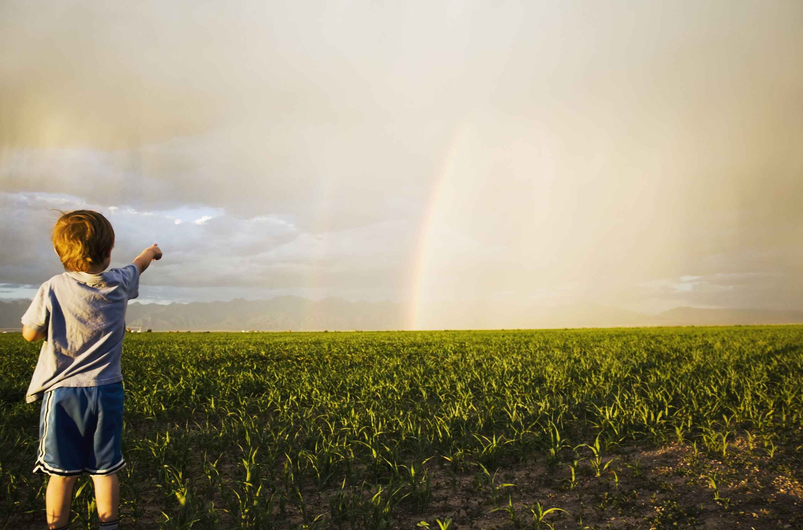 Scoprire l’arcobaleno